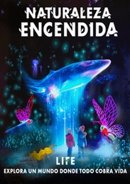 NATURALEZA ENCENDIDA LIFE